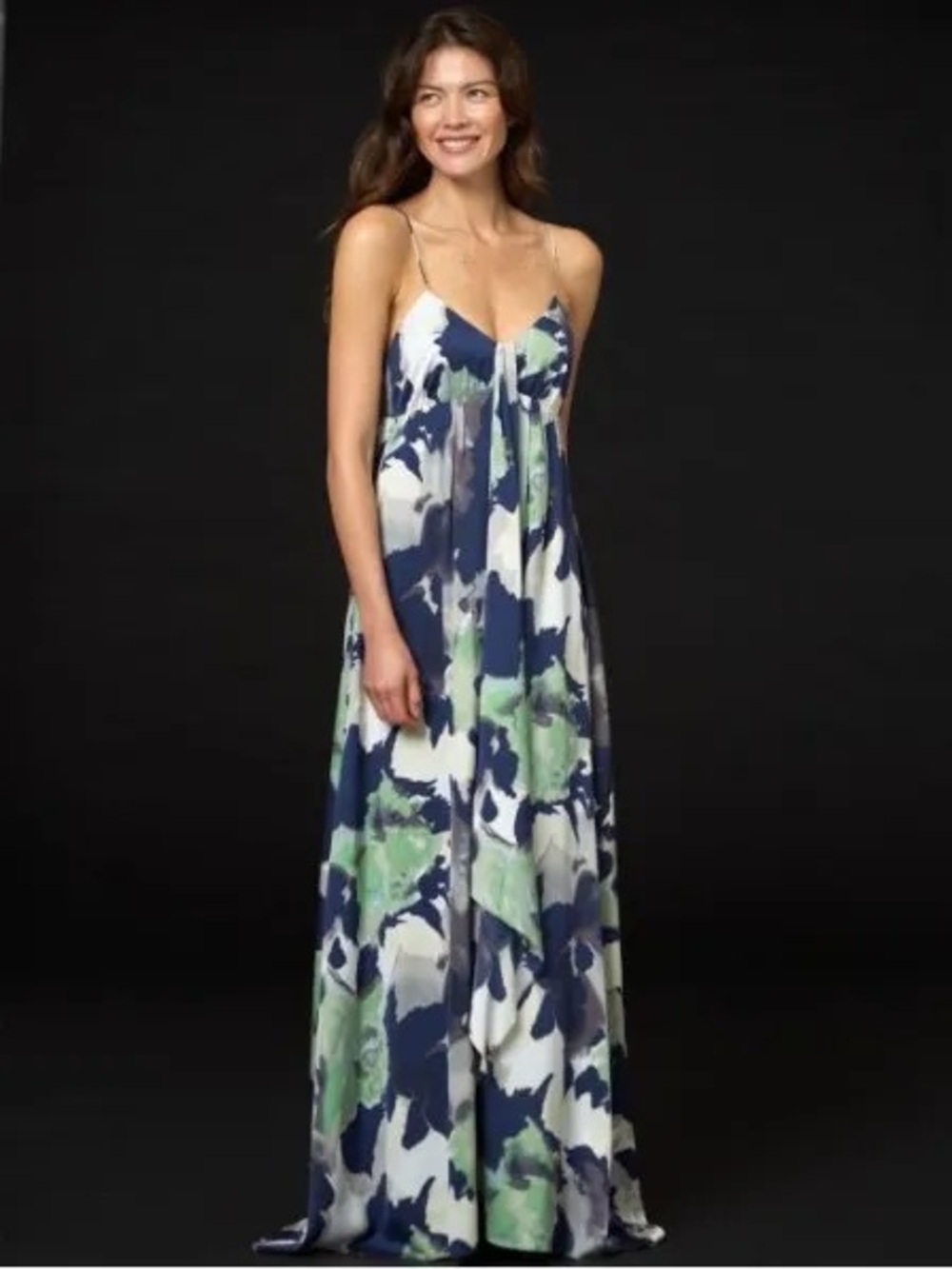 Women’s Banana Republic Jardin Print Dress, size 2